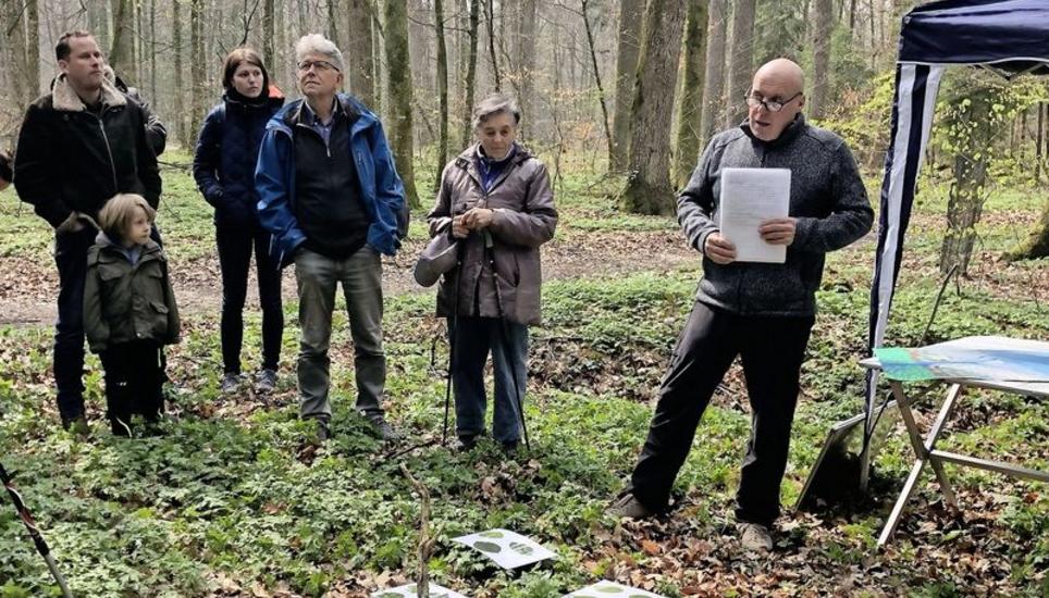 Inmitten von Buschwindröschen steht das Publikum und Martin Maag (rechts), Vorstandsmitglied von Pro Natura Schaffhausen. «Das Buschwindröschen verschwindet, sobald die Bäume wieder Laub haben», so Maag. Bild: Miriam Barner