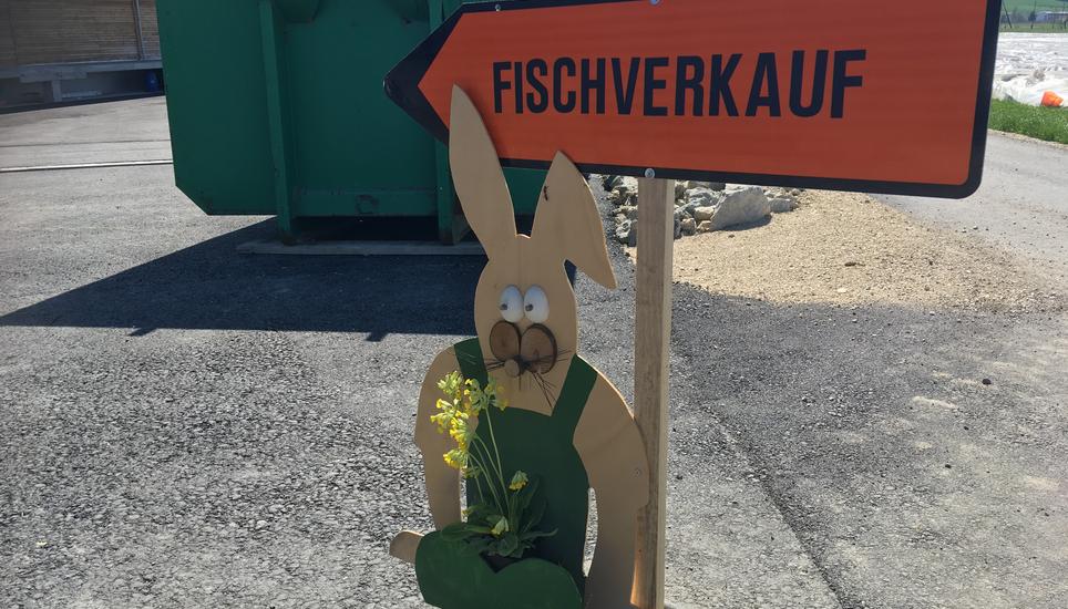 Der Fischverkauf spürt den Hitzesommer (noch) nicht. Bild: Radio Munot