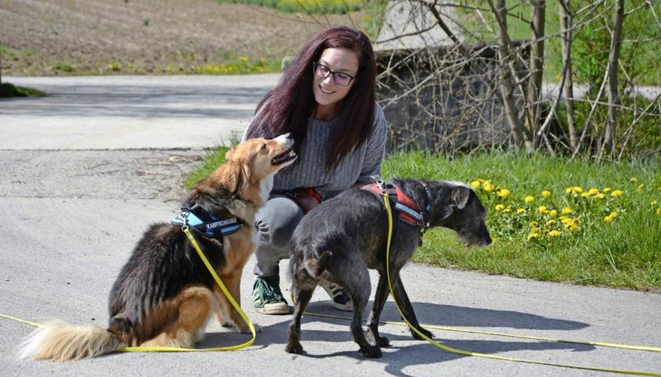 Sabrina Jendt mit Anouk (links) und Muffin auf einem ihrer professionellen Spaziergänge in der Nähe von Schlattingen. Bild: Alfred Wüger