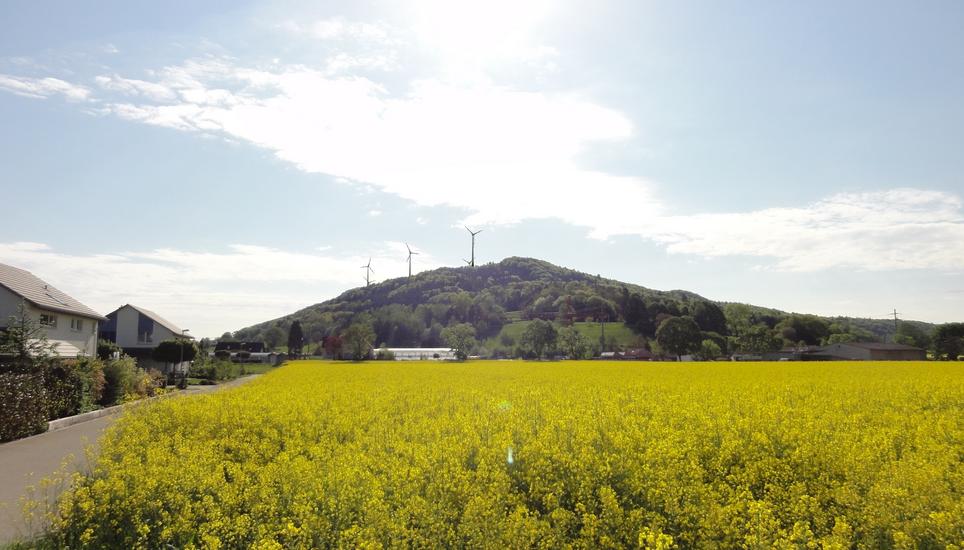 Die Windräder beim «Chroobach» in Hemishofen.