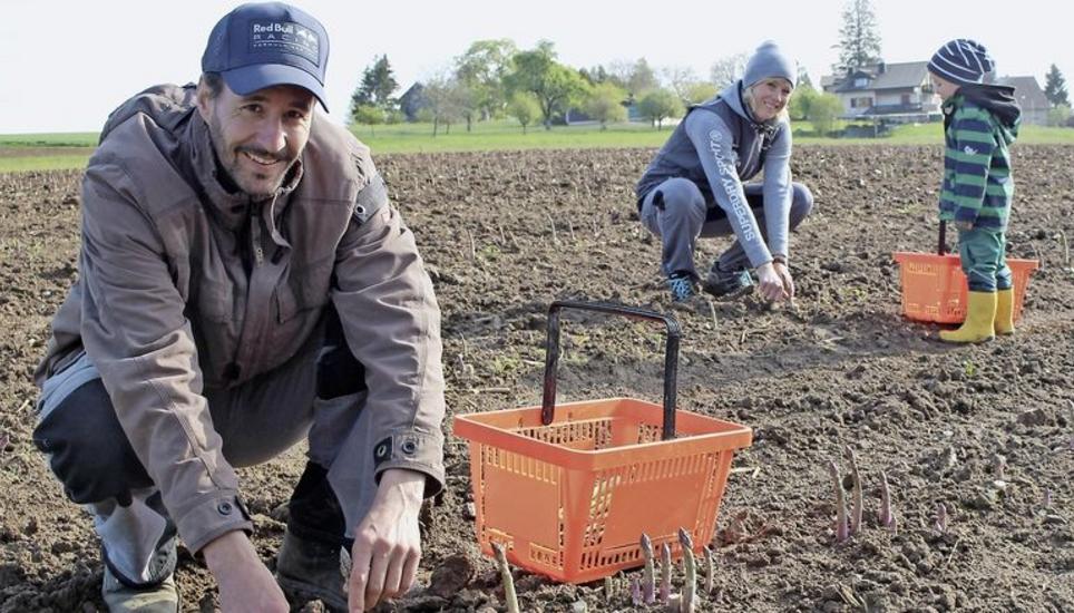 Dieses Jahr konnten die Bernhards erstmals ihren Spargel ernten. Bild: Sonja Werni