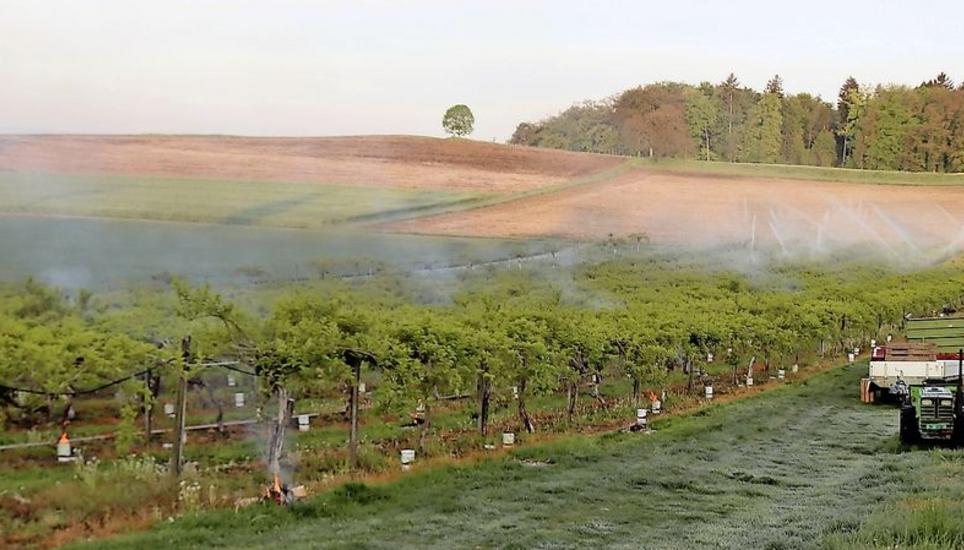 Mit Frostkerzen, kleinen Feuern und Wasser entgegnete man dem Frost. Bild: Romü
