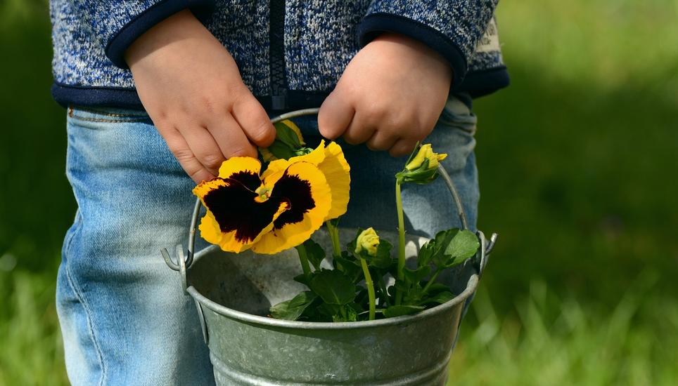 Unsere fünf Typen sind an jedem Muttertag anzutreffen. Bild: Pixabay