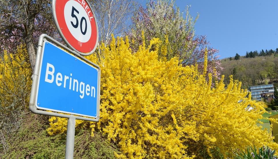 Die Anpassungen müssen noch vom Gemeinderat genehmigt werden und vom Volk abgesegnet werden.