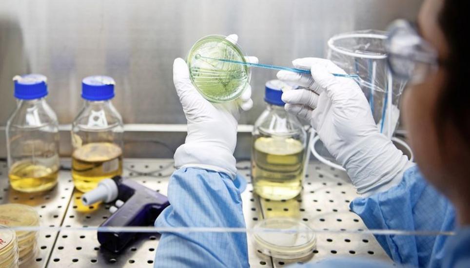 Ein Drittel der privaten Forschungsgelder wird in der Schweiz in der Pharmaindustrie investiert. Bild: Key
