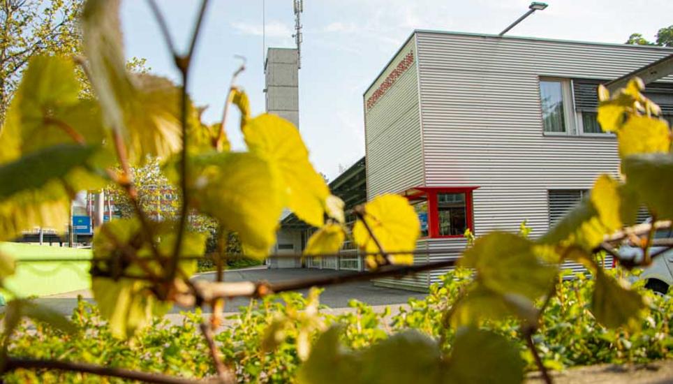 Die Bushaltestelle «Feuerwehrzentrum» wird saniert.