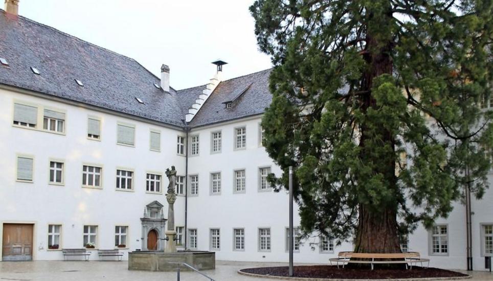 In den Räumlichkeiten der Klosterinsel Rheinau soll das Museum entstehen. Bild: Stefan Salzmann