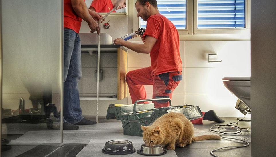 Die Hausbesitzer sind in den Ferien, Bollinger baut das Badezimmer um. Die Fachleute des Unternehmens betreuen die Arbeiten vom ersten bis zum letzten Tag – und versorgen bei Bedarf auch die Katze. Bollinger betreibt Standorte in Schaffhausen und in Schleitheim. Bilder: Rolf Fehlmann