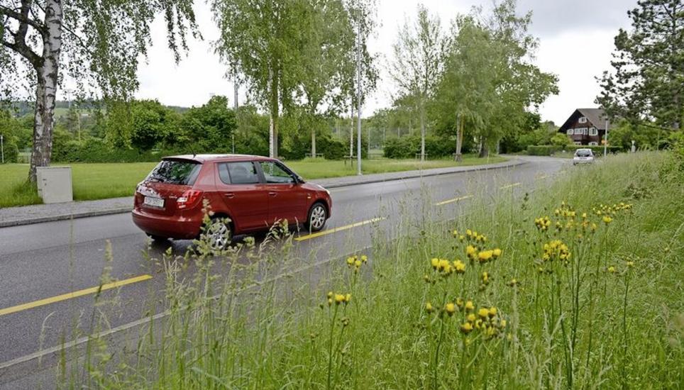 Die Neustrasse könnte aufgehoben werden. Dafür würde die Freiestrasse ausgebaut.
