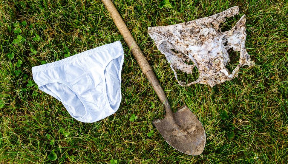 Ziel ist es, dass die Unterhose möglichst zerfressen ist. Bild: zvg
