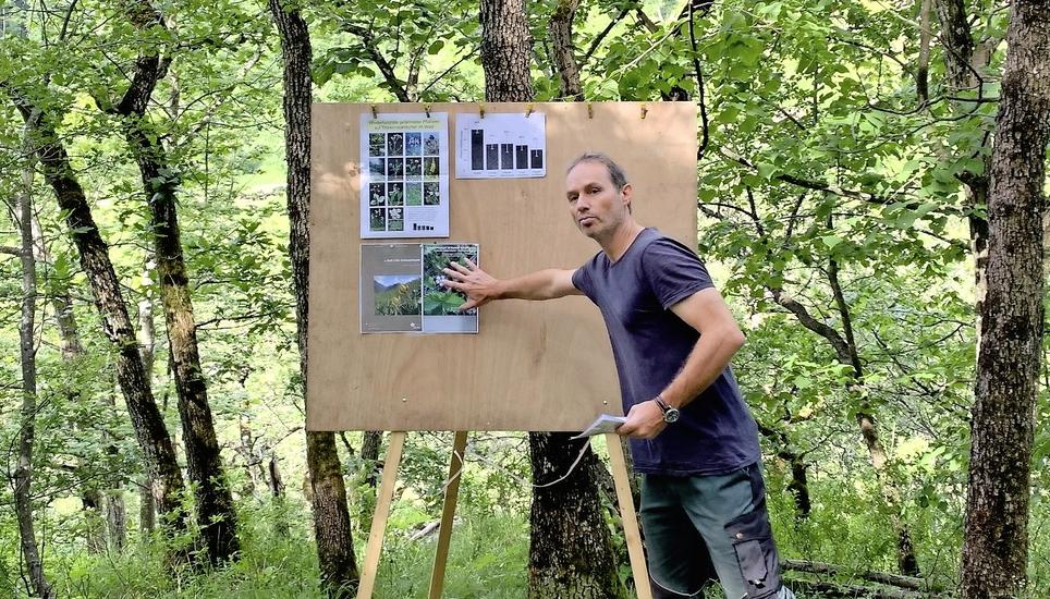 Kreisforstmeister Michael Götz in einem Wald voller Flaumeichen. Den kleinen Bäumen sieht man ihr Alter nicht an: Sie sind bis zu 200 Jahre alt. Bild: Zeno Geisseler
