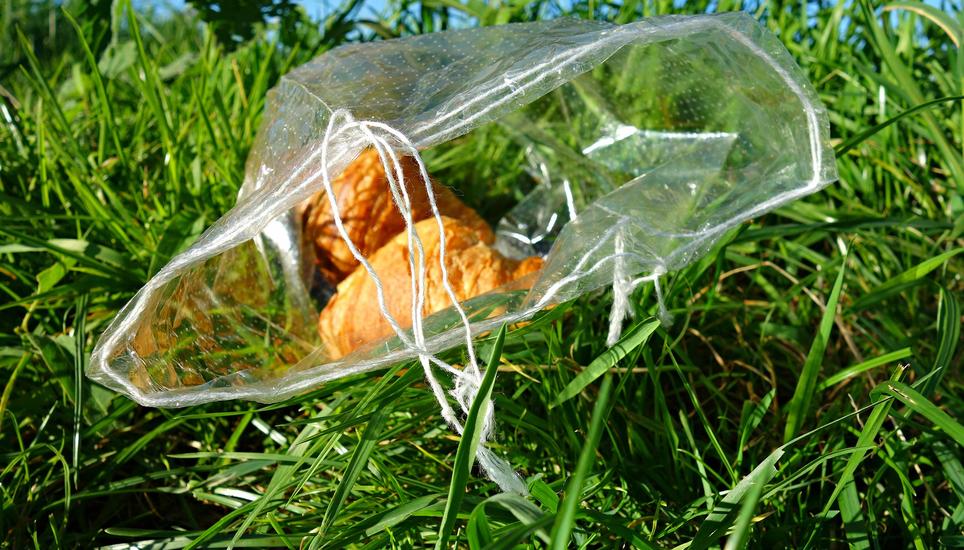 Nach Ladenschluss sollen übrig gebliebene Lebensmittel gemeinnützigen Organisationen abgegeben werden. Symbolbild: Pixabay