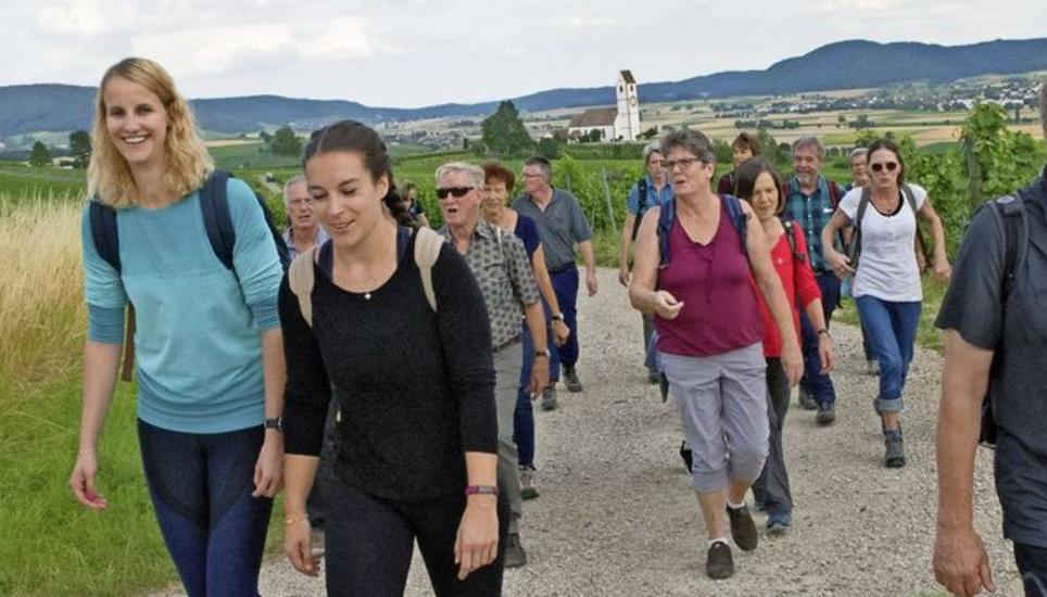 Die Schaffhauser Mondnacht-Wandergruppe am helllichten Tag in den Rebbergen von Hallau. Bild: Theo Kübler