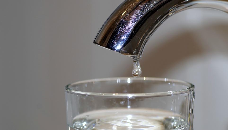 Das Pestizid Chlorothalonil kann krebserregend und genverändernd wirken. Symbolbild: Pixabay