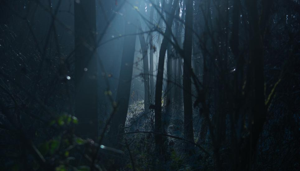 Der Kurzhorrorfilm trägt den Namen «Käfig». Symbolbild: Pixabay
