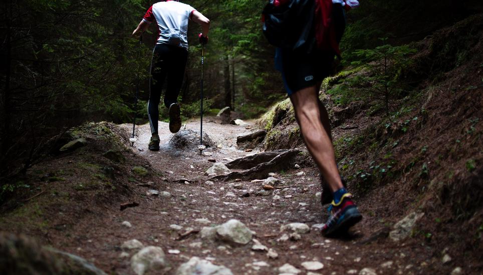 An Hitzetagen empfiehlt es sich im kühlen Wald sportlichen Aktivitäten nachzugehen. Symbolbild: Pixabay