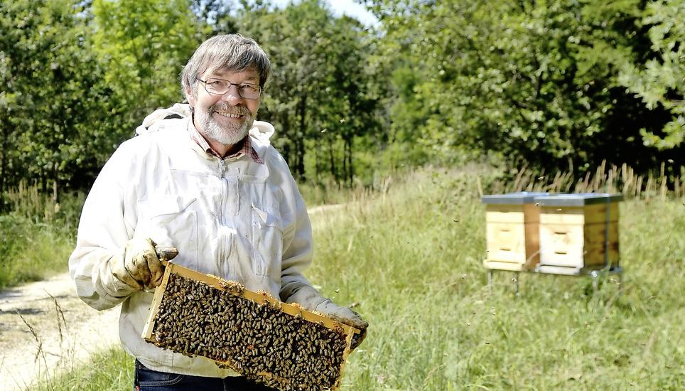 Hans-Ruedi Weber umsorgt seine Bienenvölker im Wald. Bild: Selwyn Hoffmann