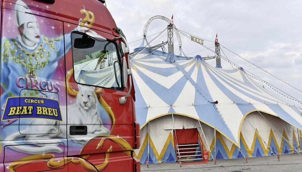 Frische Farben: Das Zirkuszelt und die Sattelschlepper des Circus Beat Breu.