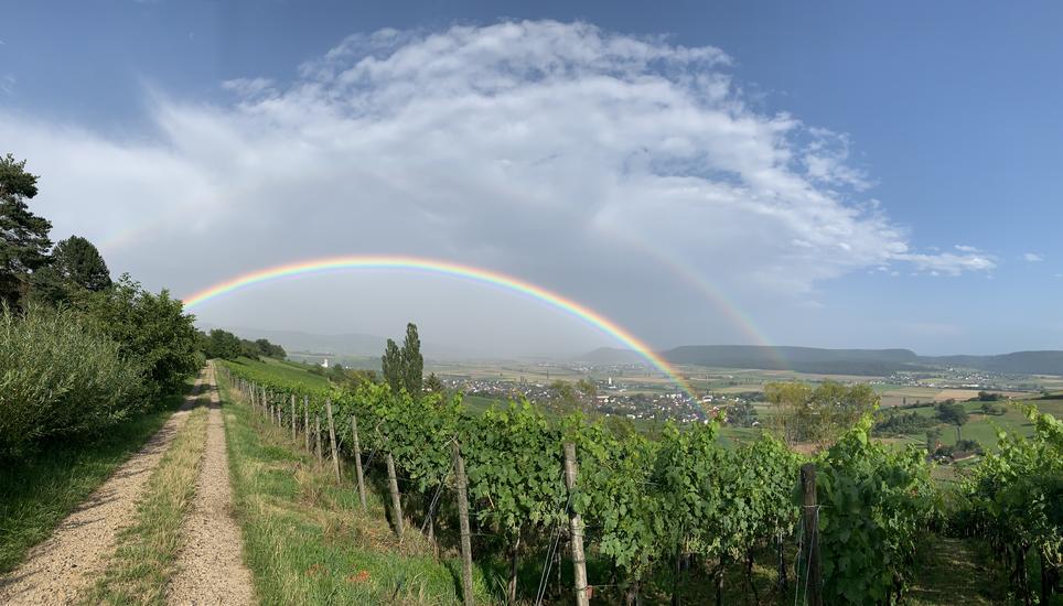 Dieses wunderschöne Bild hat Leser Ullrich Lewicki am Sonntag um 17.30 Uhr auf dem Oberhallauer Berg aufgenommen.