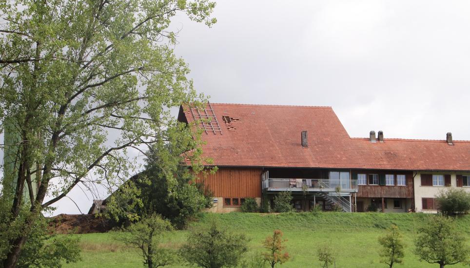 Vereinzelt sind im Gewitterzug durch den Sturm auch Hausdächer in Mitleidenschaft gezogen worden.