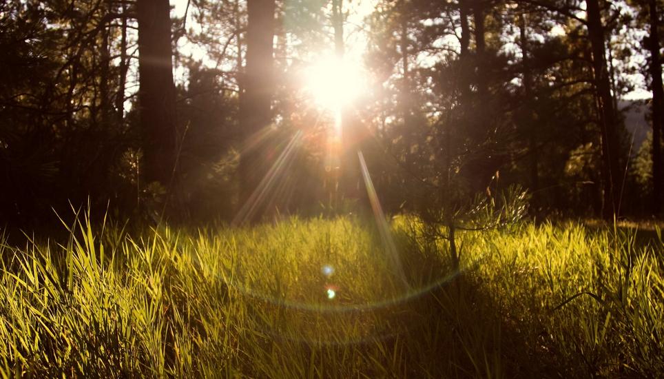 In der kommenden Woche kann man noch einmal richtig Sonne tanken, ehe es in die «trübe» Jahreszeit geht. Symbolbild: Pixabay