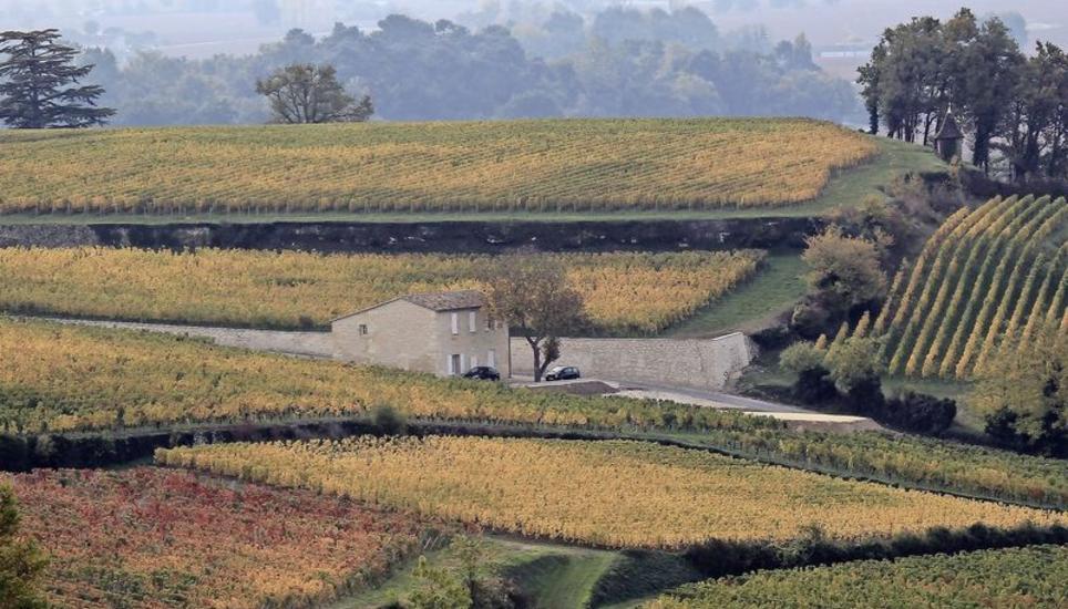Die heile Welt im Weinmekka Saint-Émilion trügt: Die Weinbauern im Bordeaux setzten bereits seit Jahrzehnten massiv Herbizide, Fungizide und Insektizide ein. Bild: Key