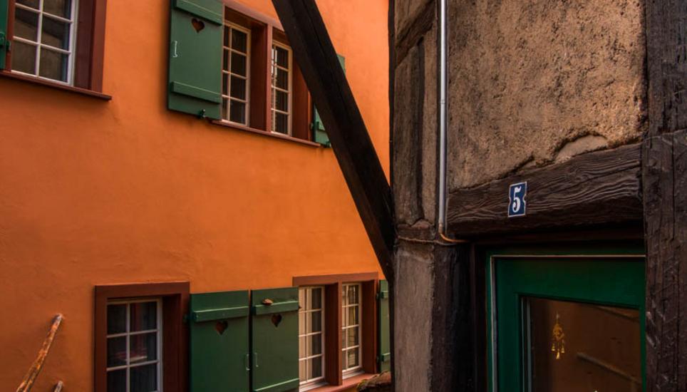 Herbstfarben aus Schaffhausen. Bilder: Lara Galliker