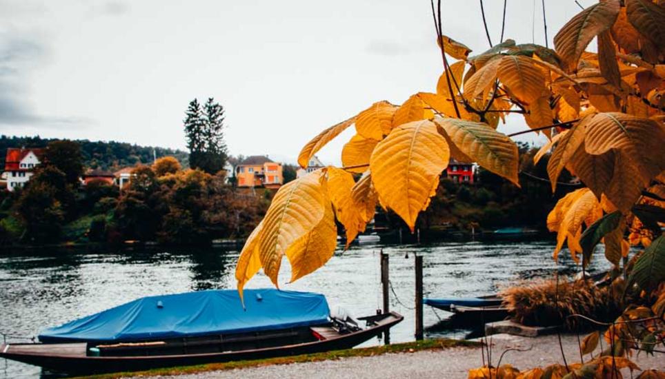 Herbstfarben aus Schaffhausen. Bilder: Lara Galliker
