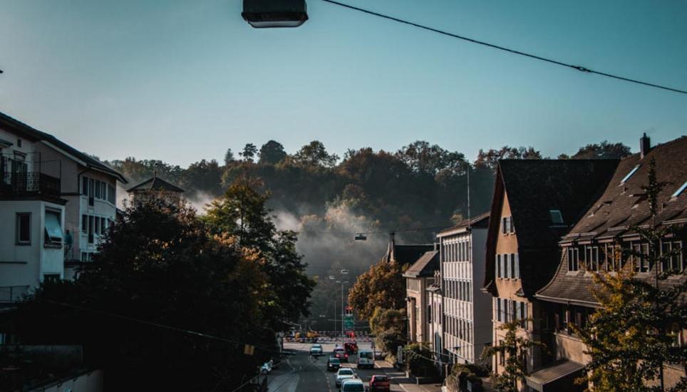 Herbstfarben aus Schaffhausen. Bilder: Lara Galliker
