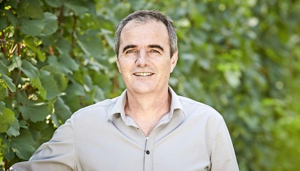 Verwaltungsratspräsident Andrea Davaz hat im Frühjahr auch die operative Leitung der Hallauer Rimuss & Strada Wein AG übernommen. Bilder: zvg