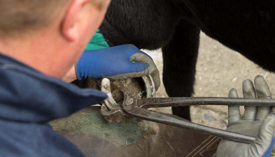 Hans Monhart bei der Arbeit.