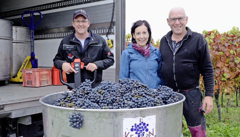 Susanne und Markus Simmler (rechts) haben Prior-Trauben geherbstet. Bild: hei