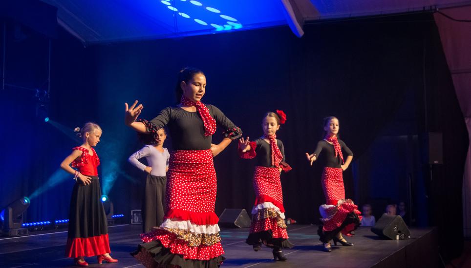 Das Publikum war begeistert ab der Flamenco-Vorführung. Bild: Flavia Grossenbacher