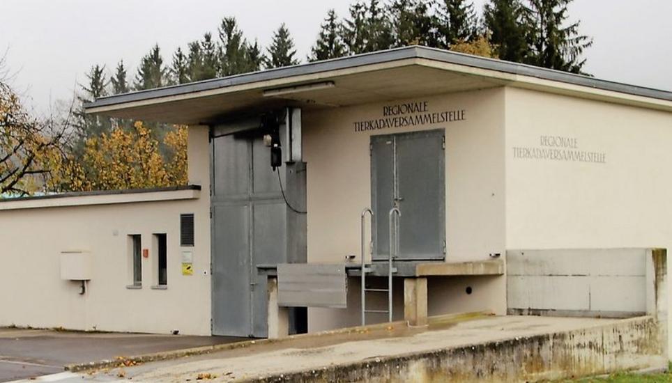 Seit den 80er-Jahren in Betrieb: Die Kadaversammelstelle in Andelfingen. Bild: RoMü