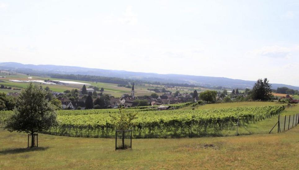 Der Weinbauverein Benken verzichtet im nächsten Jahr auf eine Teilnahme am Grossevent «vo Puur zu Puur». Bild: Romü