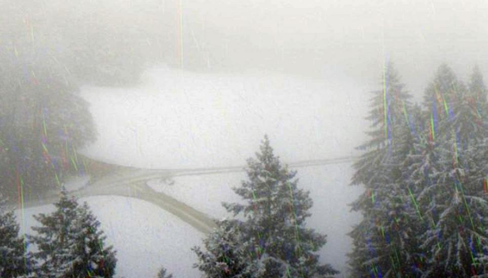 Der erste Schnee im Kanton Winterlandschaft auf dem Hagen