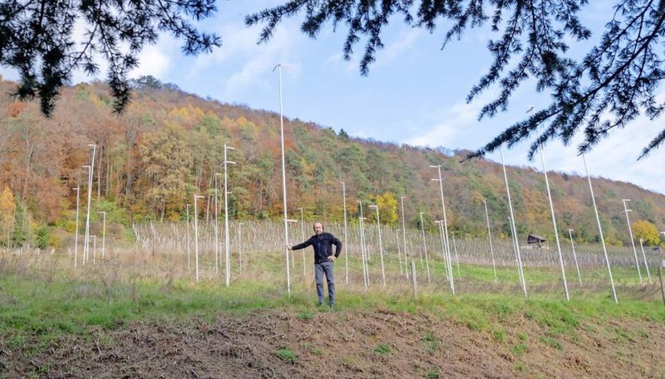 Einsprecher Erich Windhab erläutert das Anliegen der insgesamt 16 Einsprecher gegen ein Projekt von fünf Einfamilienhäusern auf einem von weither einsehbaren Grundstück in Hemishofen. Bild: Melanie Duchene