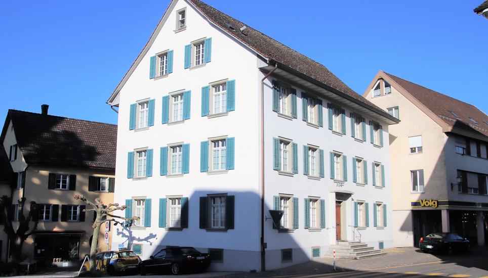 Der 22-jährige angehende Jurist musste sich am Donnerstag vor dem Einzelrichter am Bezirksgericht Andelfingen verantworten. Bild: Romue