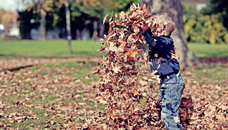 Ein Kind im Laub. Kinder lernen am meisten, wenn sich das Spiel frei weiterentwickeln kann. Bild: Pixabay