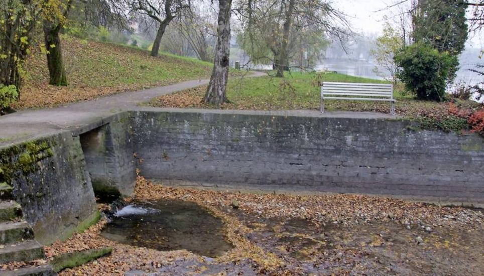 Hier tritt der Mülibach in Wagenhausen aus der Eindohlung aus und mündet wenige Meter später in den Rhein. Der Verein pro Wagenhausen und der Kanton Thurgau setzen sich für eine lebensfreundlichere Gestaltung der Zuflussstelle ein. Bild: Tim Nadler