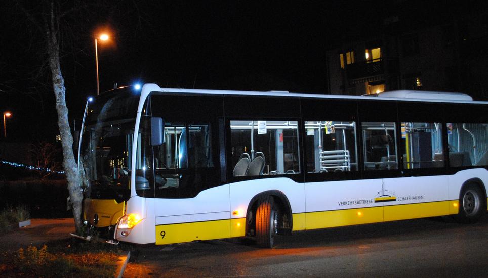 Der Bus kollidierte frontal mit dem Baum neben der Strasse. Bild: SHPol