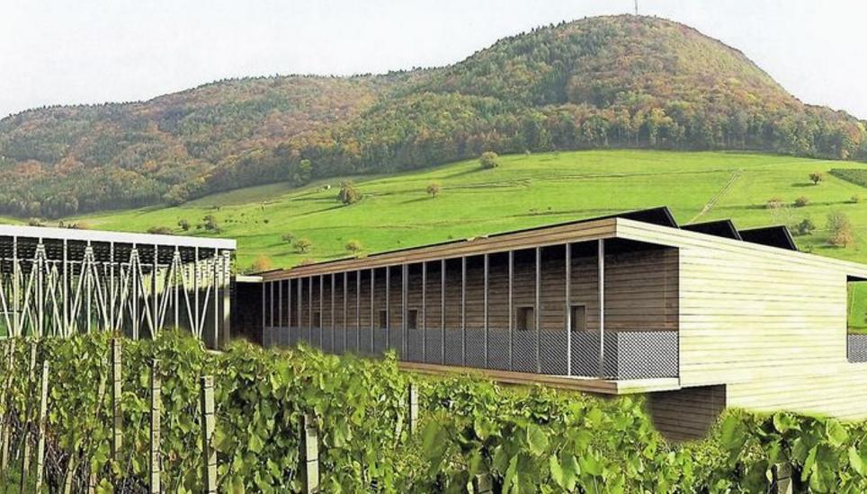 So ähnlich könnte das Weinhotel bei der Bergtrotte Osterfingen eines Tages aussehen (Visualisierung: Stand Sommer 2019). Visualisierung: zvg
