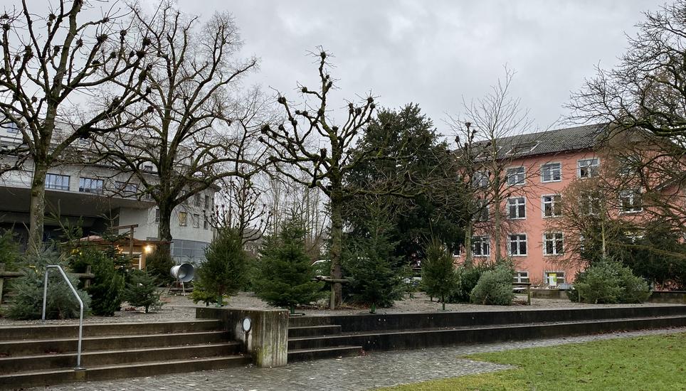 Der grösste Andrang herrscht ganz kurz vor Heiligabend. Bild: Radio Munot