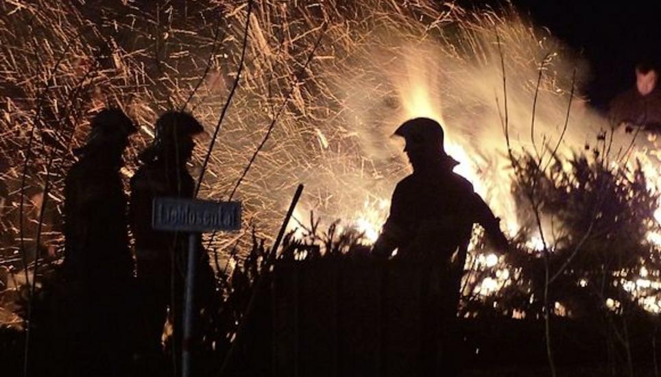 Ein Schauspiel, wie der Baum in Flammen aufgeht. Bild: WH