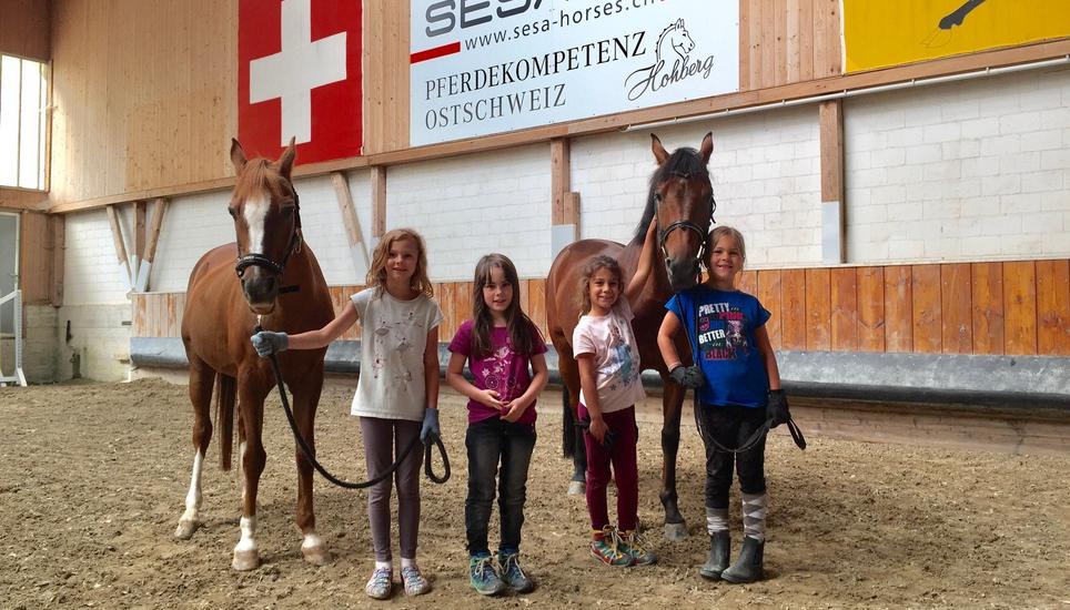 Eine Finnenbahn ist genau dort geplant, wo die Reitschule ihre Weidewiese hat. Bild: Radio Munot