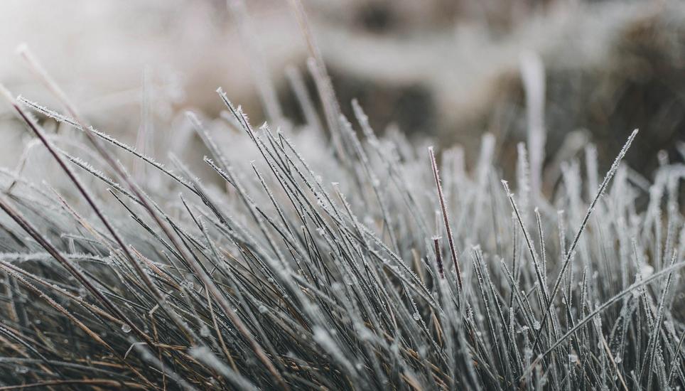 Am kommenden Samstagmorgen solle wahrscheinlich eine dünne Schneeschicht auf dem Randen liegen. Symbolbild: Pixabay