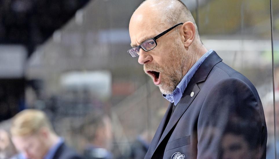 Lautstark zurück in die Erfolgsspur: Hans Kossmann hat ab sofort das Sagen als Headcoach beim SC Bern. Bild: Key