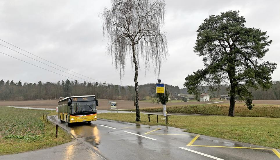 Die Haltestelle «Spitzrüti» in Rüdlingen, nun mit Signal, Beleuchtung und Klappsitz aufgewertet. Bild: Karin Lüthi