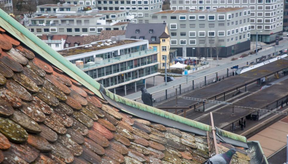 Aussicht vom Obertorturm.