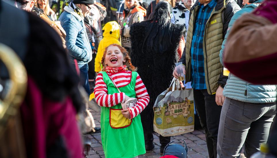 Weitere Impressionen der Schaffhauser Fasnacht 2020.